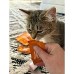 Image 3 of customer photos