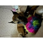 Image 1 of customer photos