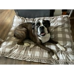 Image 4 of customer photos