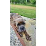 Image 5 of customer photos