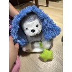 Image 4 of customer photos