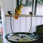 Image 1 of customer photos