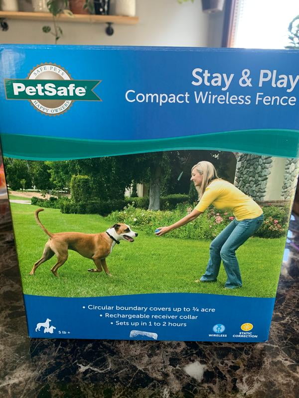 stay and play dog collar