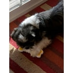 Image 7 of customer photos