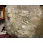 Image 7 of customer photos