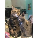 Image 4 of customer photos