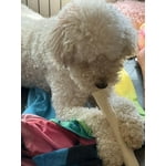 Image 3 of customer photos