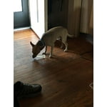 Image 7 of customer photos