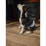 Image 4 of customer photos