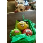 Image 6 of customer photos