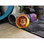 Image 5 of customer photos