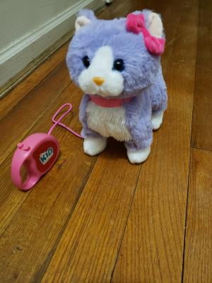 toy cat with leash