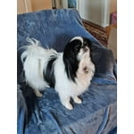 Image 6 of customer photos