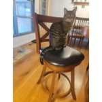 Image 6 of customer photos