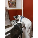 Image 3 of customer photos