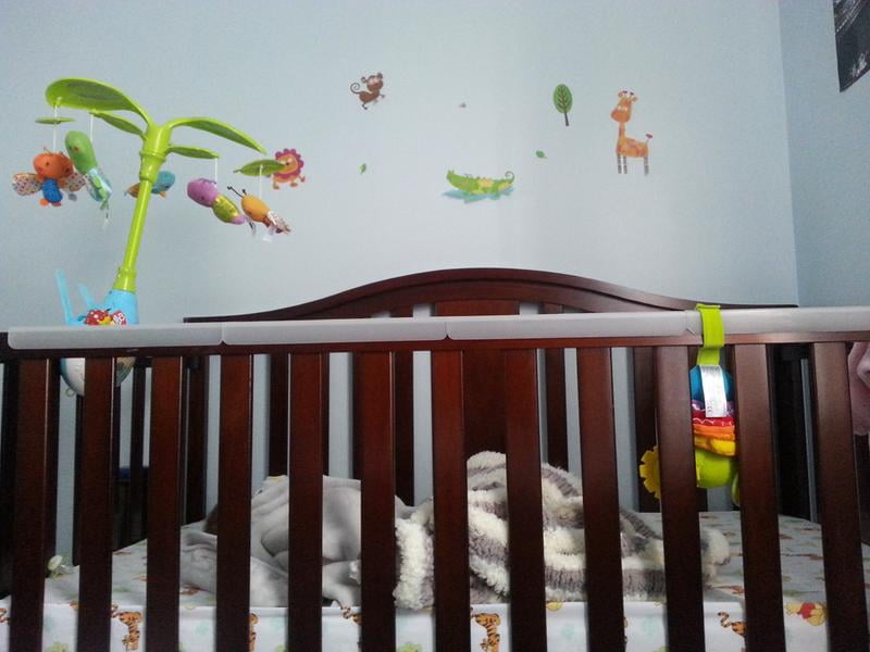 prince lionheart crib rail teether