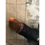 Image 3 of customer photos