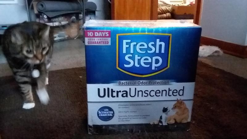 fresh step ultra unscented walmart