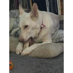 Image 3 of customer photos