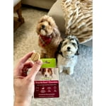 Image 7 of customer photos