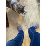 Image 4 of customer photos