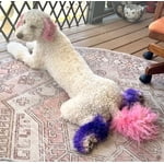 Image 3 of customer photos