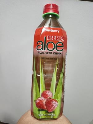 ausgewachsene aloe vera pflanze kaufen Aloe vera (Echte Aloe) kaufen main image 1