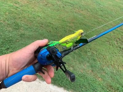 abu garcia blue max low profile baitcast reel and fishing rod combo