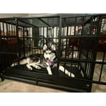 Image 2 of customer photos