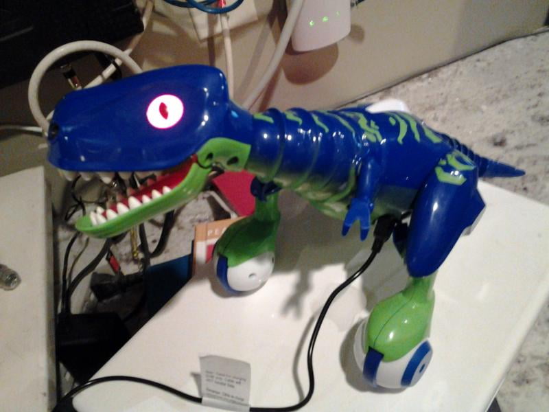 boomer robot dog