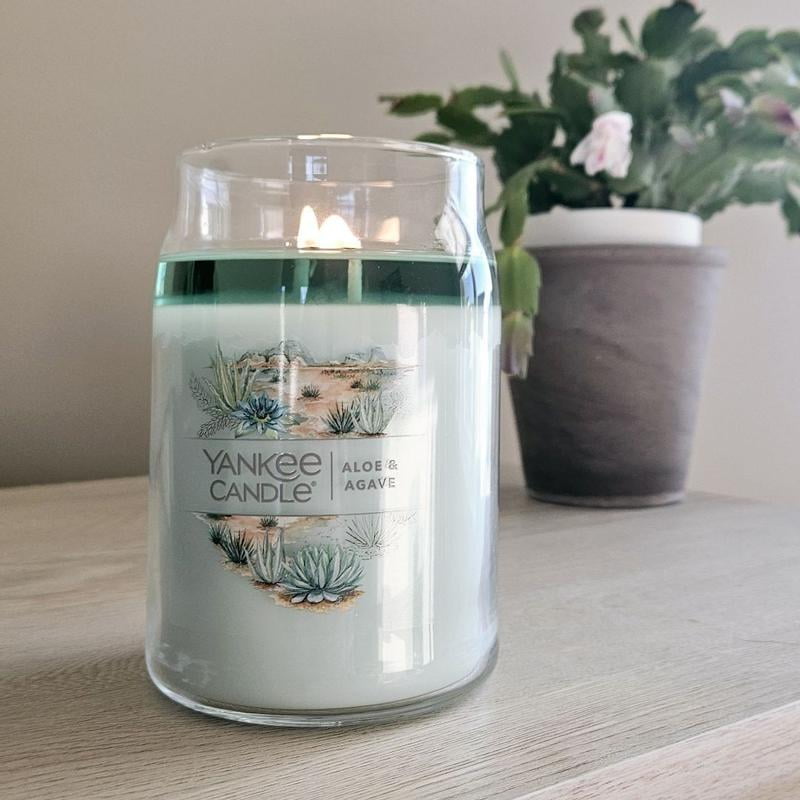 Yankee Candle Aloe & Agave Large 2-Wick Signature Jar Candle - Walmart.com