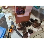 Image 1 of customer photos