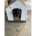 Image 9 of customer photos