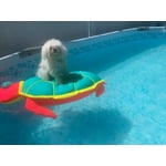 Image 2 of customer photos