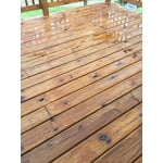 Image 4 of customer photos