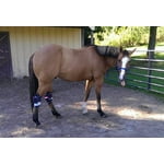 Image 6 of customer photos