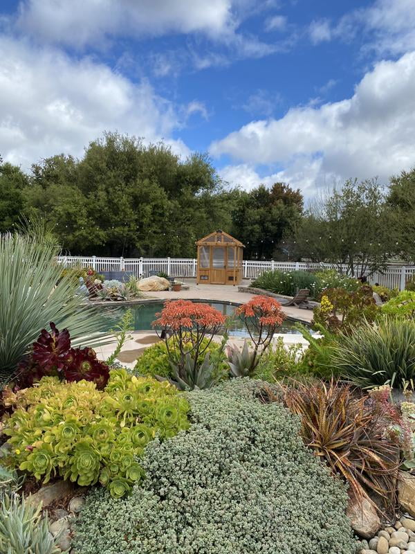 Backyard Discovery 11'x7' Traditional Cedar Greenhouse - DIY