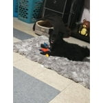 Image 5 of customer photos