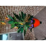 Image 5 of customer photos