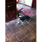 Image 2 of customer photos