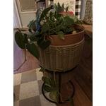 Image 7 of customer photos