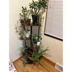 Image 4 of customer photos