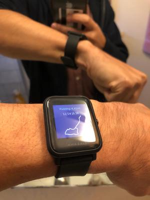 amazfit bip walmart