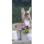 Image 7 of customer photos