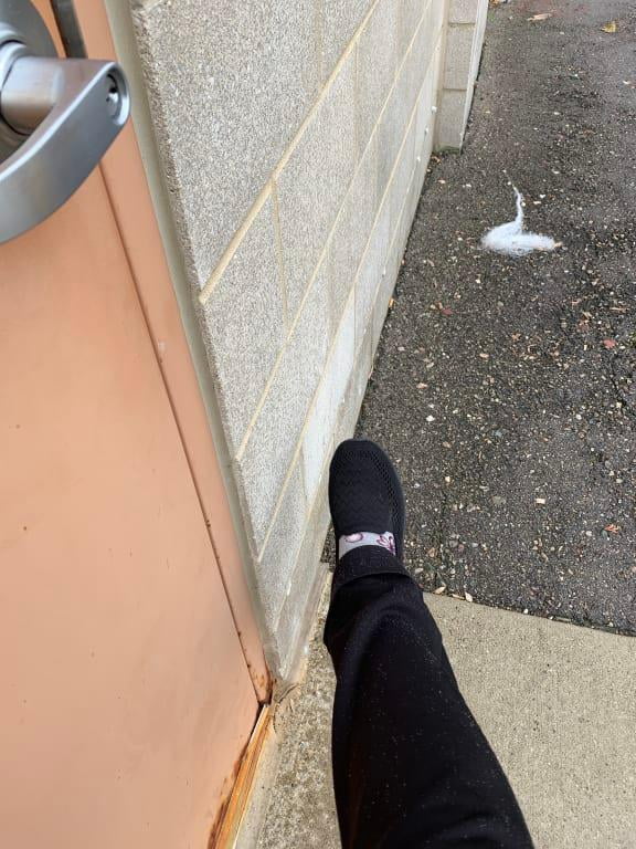 skechers sulloway