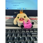 Image 2 of customer photos