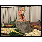 Image 4 of customer photos