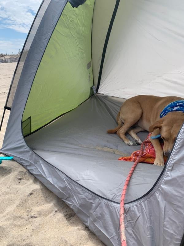 Coleman® Beach Canopy Sun Shelter Tent, Green - Walmart.com