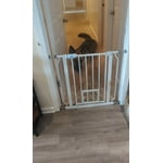 Image 7 of customer photos