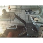 Image 3 of customer photos